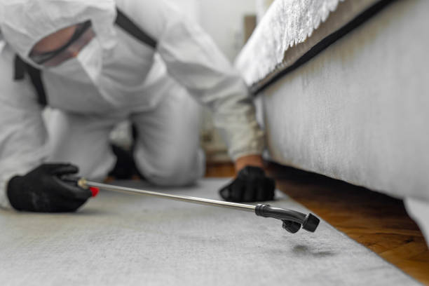 Professional Termite Control technician working in Hampshire County County, MA